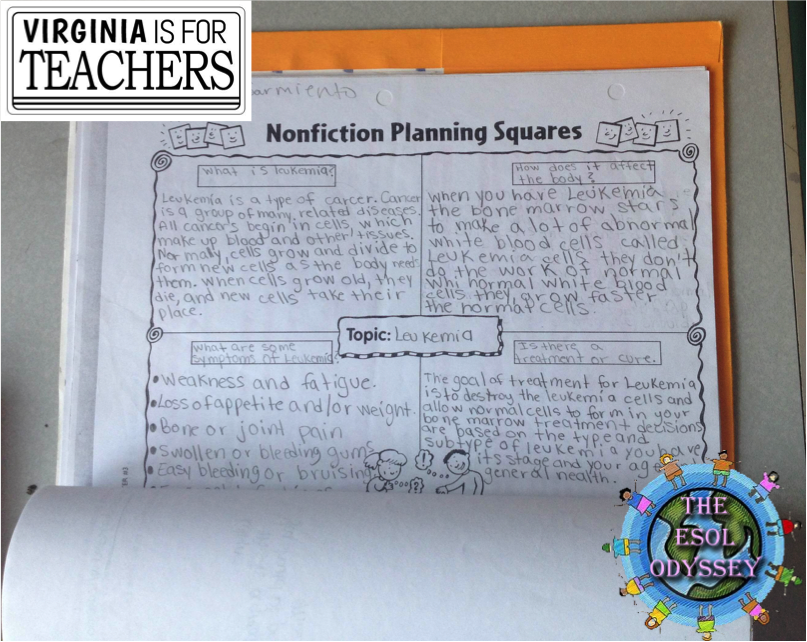 Student Portfolio Assessment