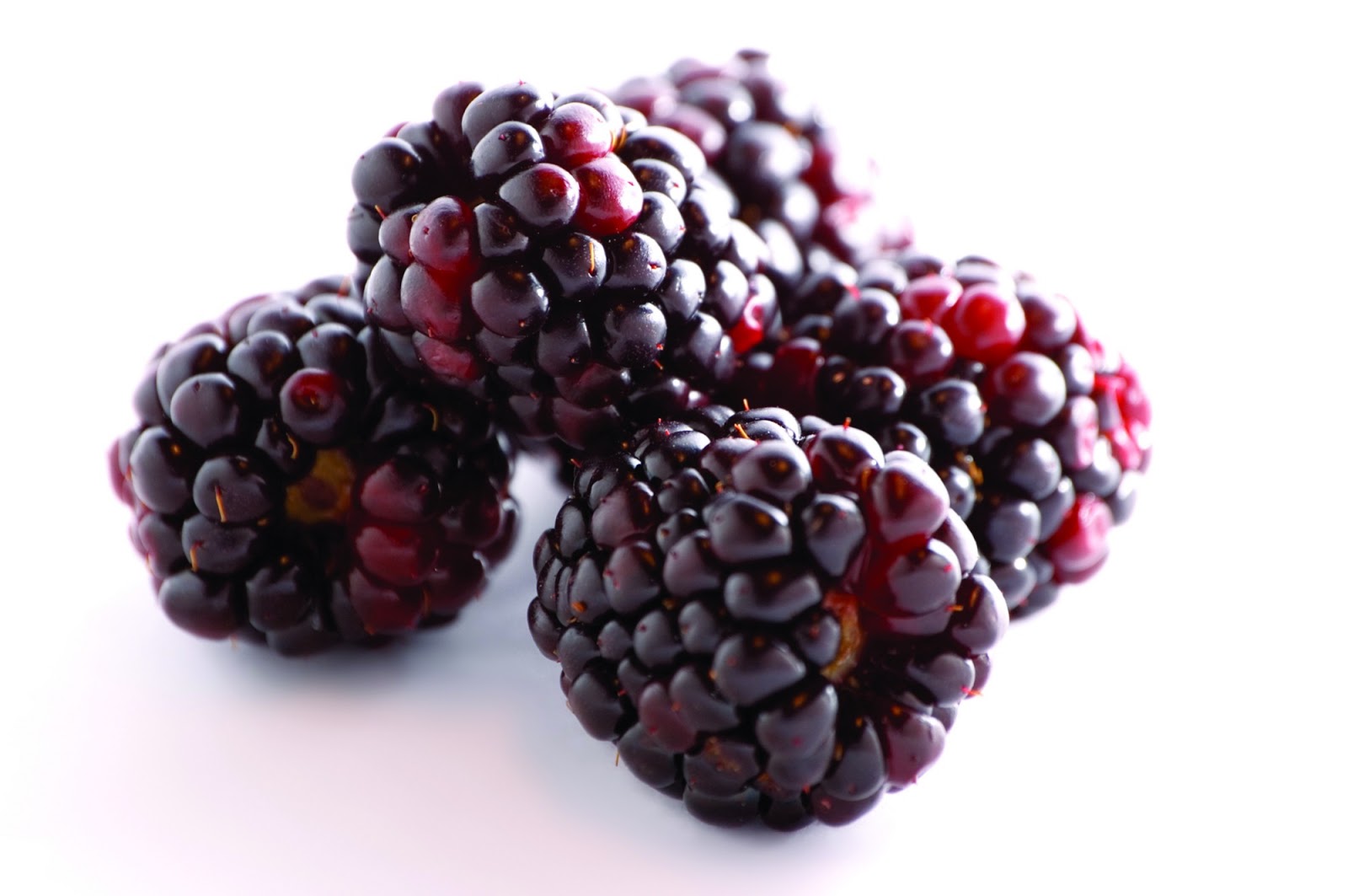 Los Angeles Files "Boysenberry" Creator Rudolph Boysen 1950