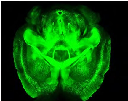 Hayat Renklerim: Mayıs 2014