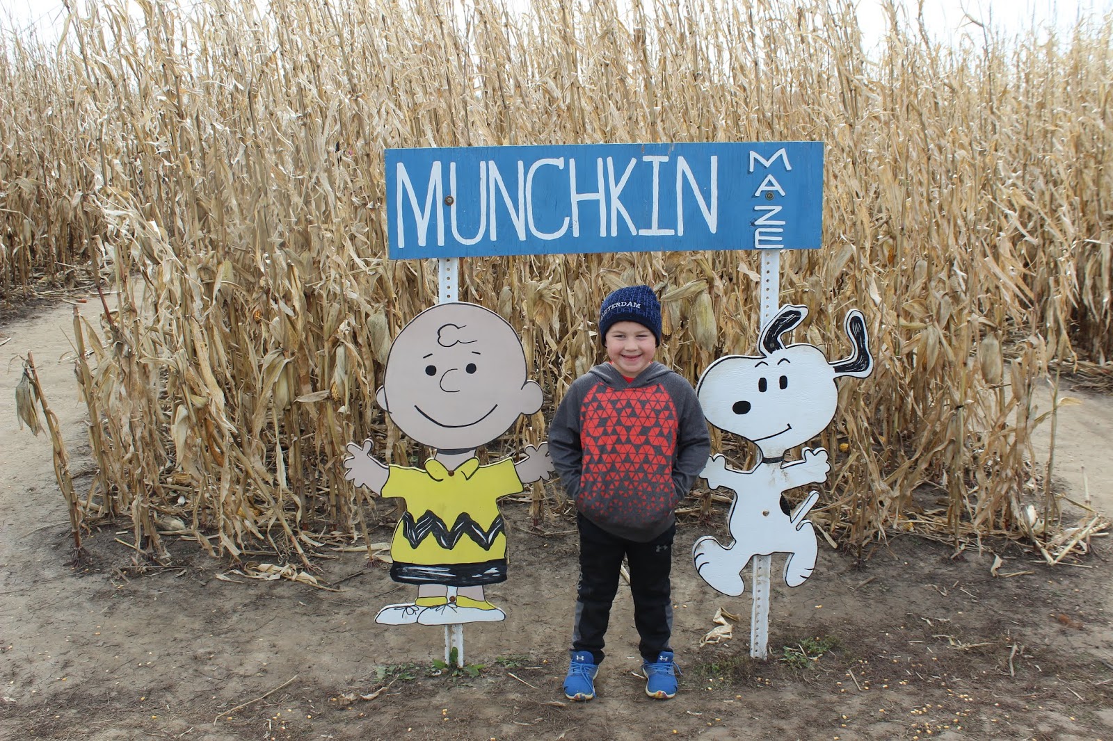 Kinder in the Cornfields