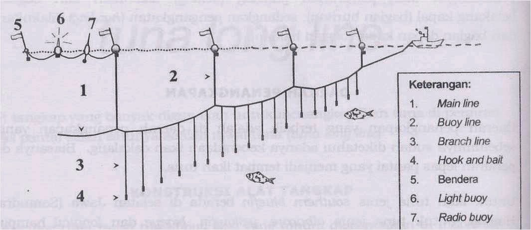 alat tangkap rawai