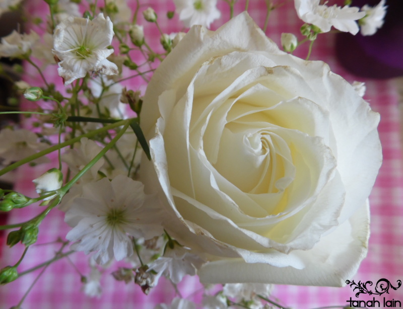 Florero reciclando una botella de jugo