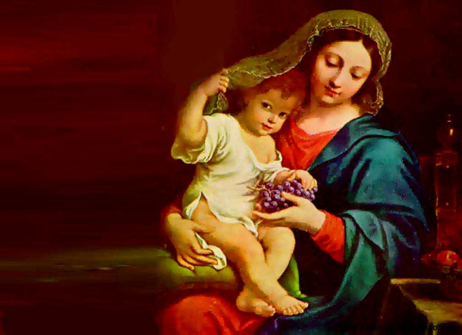 virgin mary pics 1101