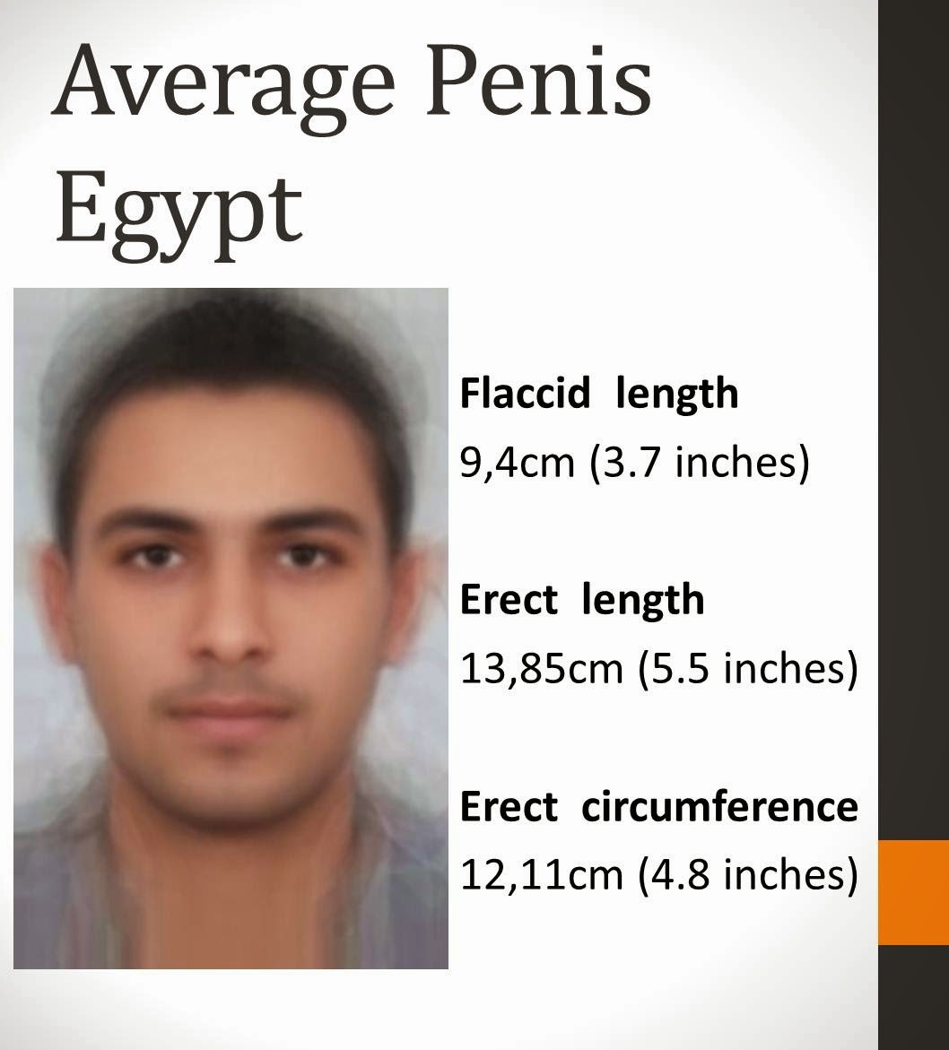 Penis Size Per Country Pictures-6195