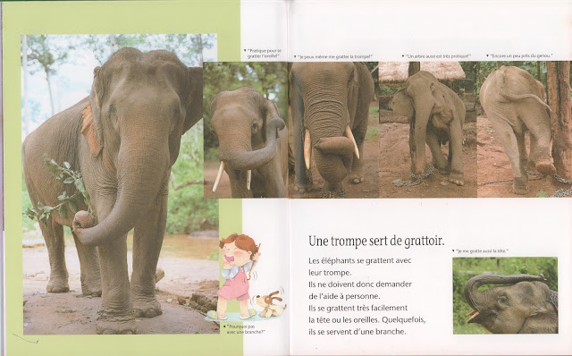 La Trompe De L éléphant Film Leçons de choses: La trompe de l'éléphant