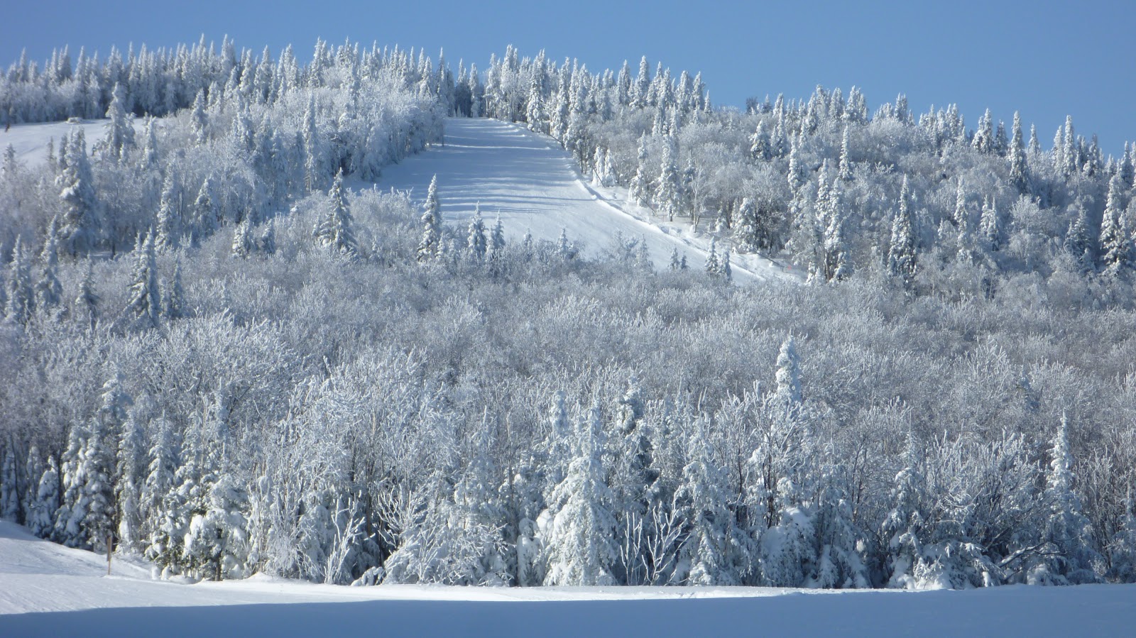 Ski au Massif de la Petite Rivière SaintFrançois