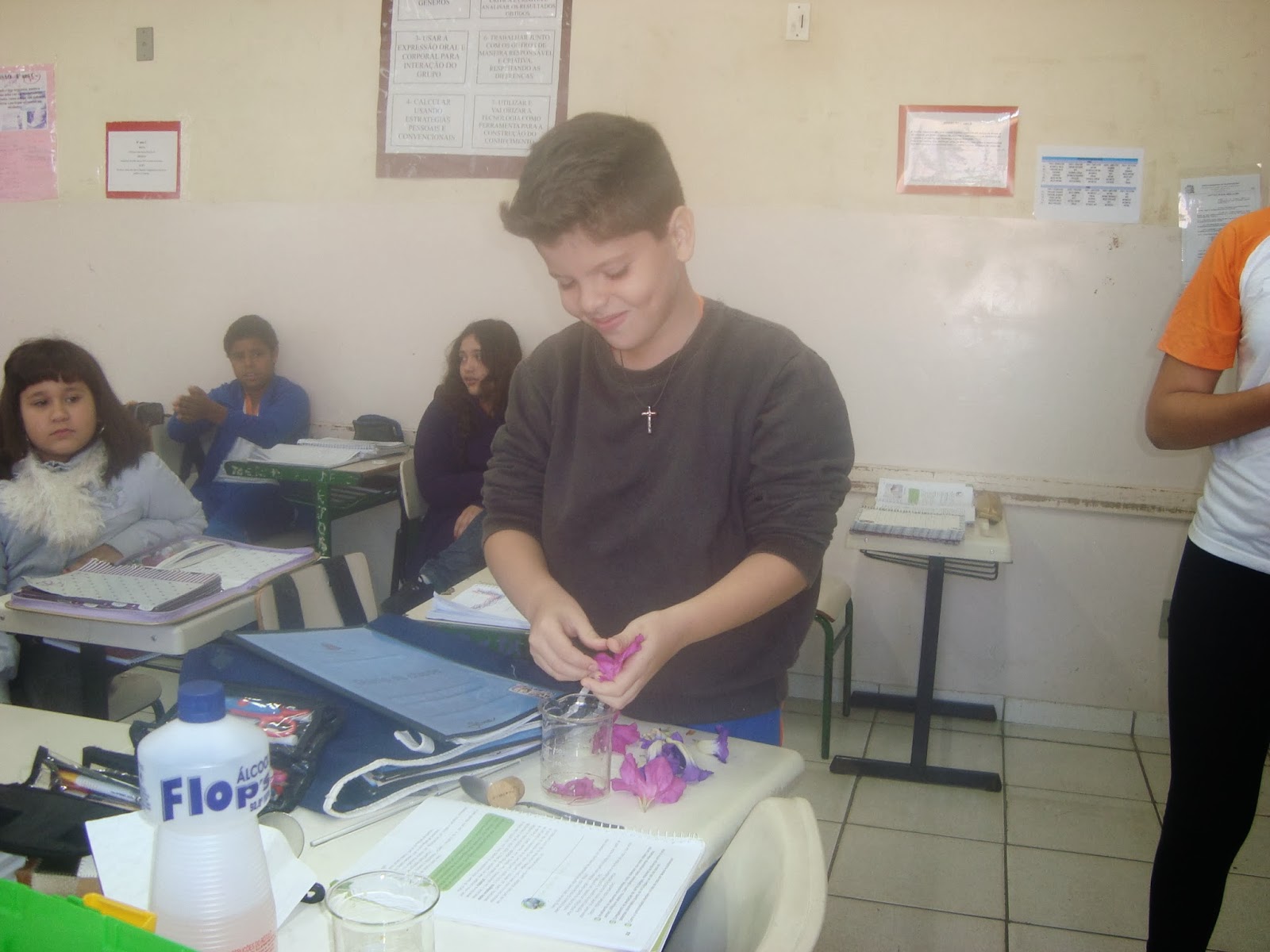 Em Um Experimento Científico Foram Colocadas 2 8