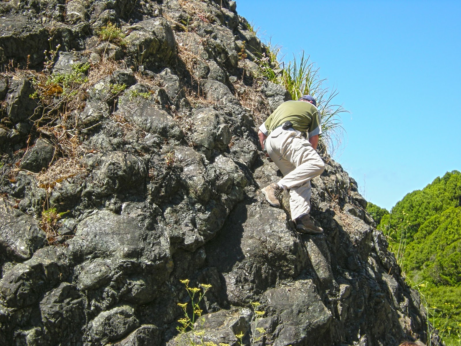 Pillow lava in tectonic melange at Black Mountain near Point Reyes and San Andreas fault pillow lava in accreted island in melange