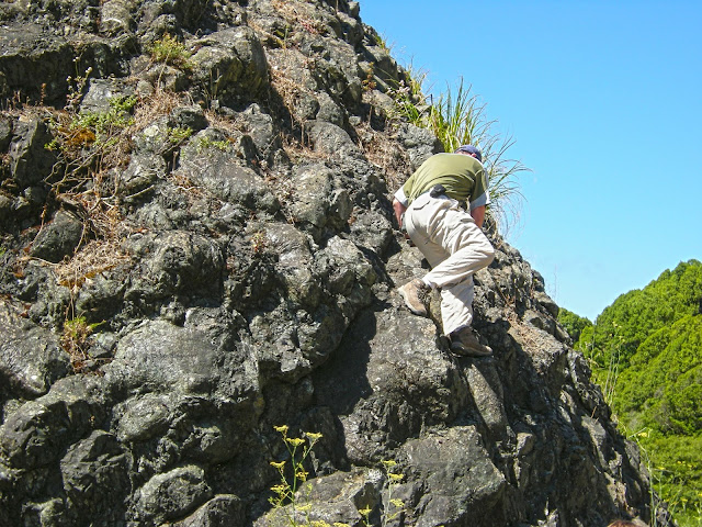 pillow lava in accreted island in melange