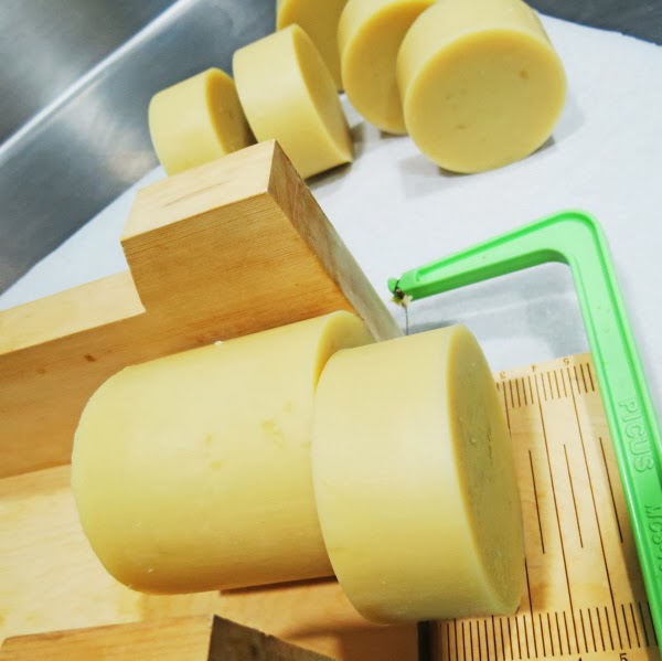 Jenora Soaps pH in handmade soap Shampoo bars Citric Acid