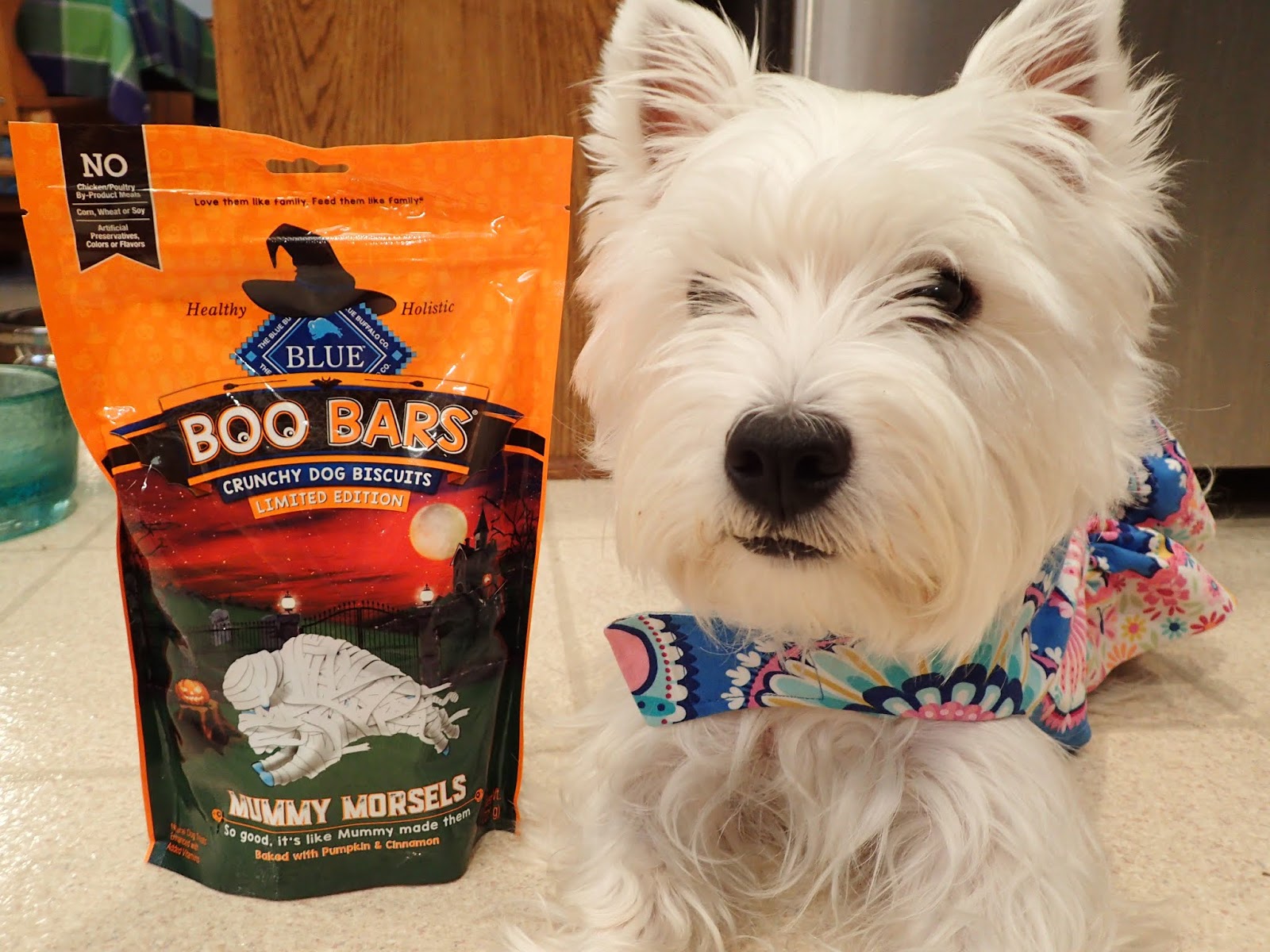 Kinley Westie Blue Buffalo Halloween Boo Bars from Chewy!
