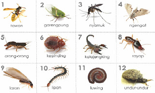 MIMPI SERANGGA (Menurut Primbon) - BUKU MIMPI 2D