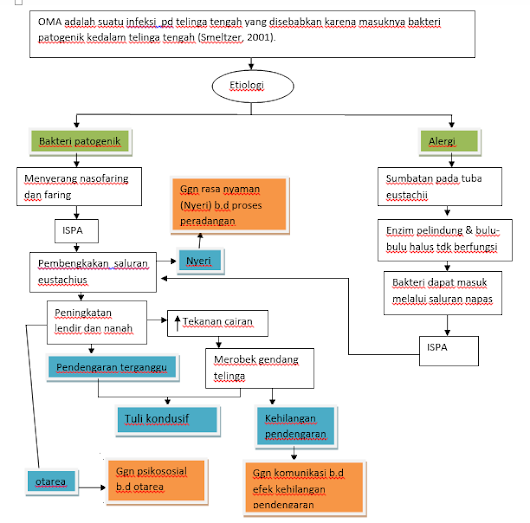 Pathway Otitis Media Akut Oma