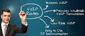 Business and Wholesale VoIP Services