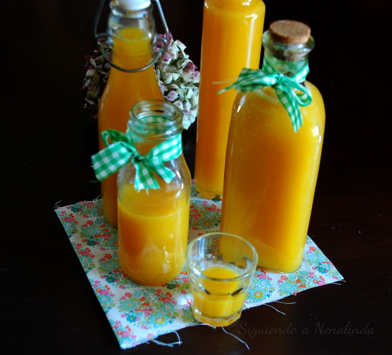 Siguiendo a Nenalinda Vinagre de Mango {Con y sin Thermomix paso a