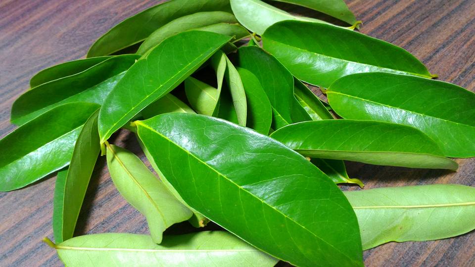 Pieces of Lin: Soursop leaf