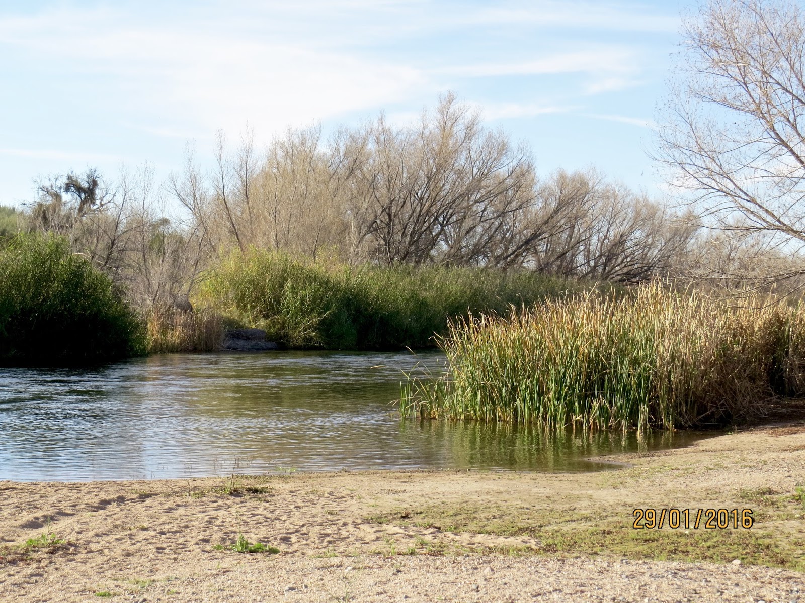Babs' Birding Experiences Needle Rock and Box Bar Recreation Areas
