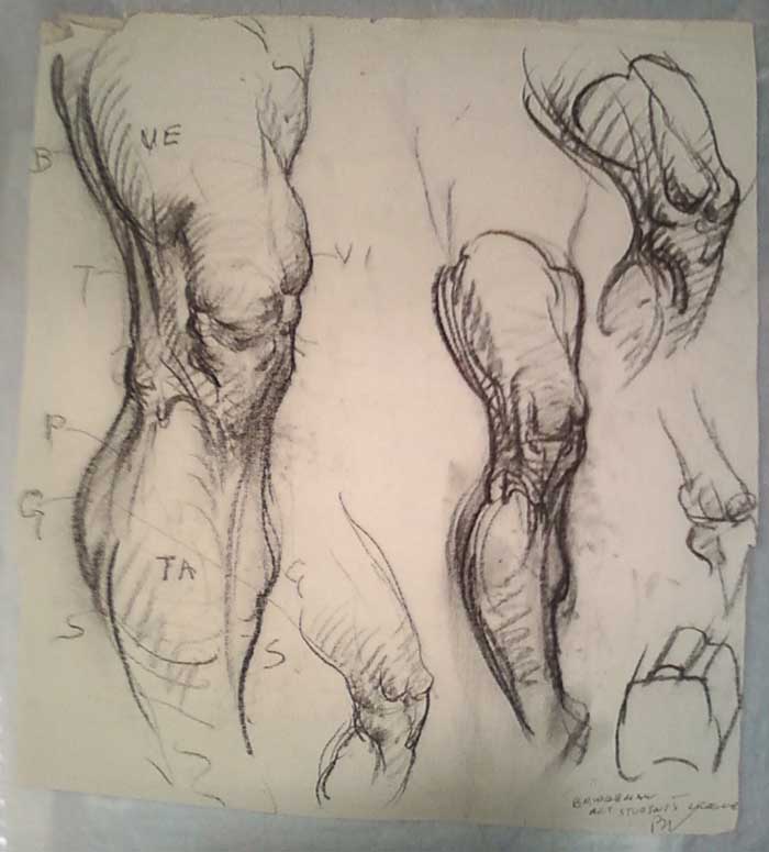 The Artists Complete Guide To Figure Drawing Pdf