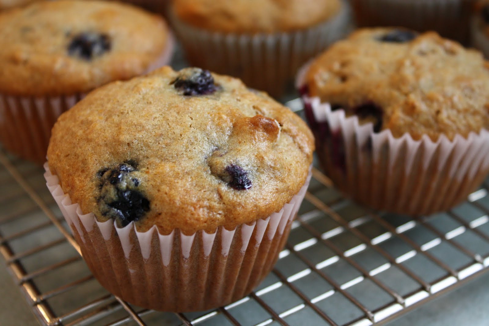 Recipes from Michelle's Kitchen Blueberry Bran Muffins