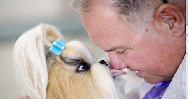 Estudos apontam que o SHIH TZU age com o DONO da mesma forma que uma CRIANÇA age com os pais