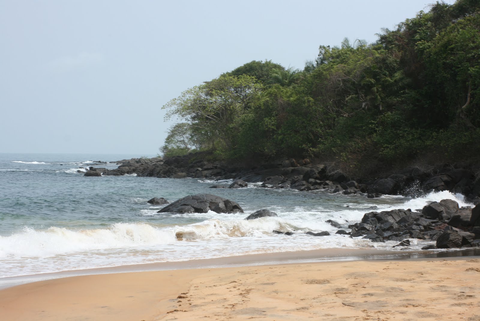 Now I Can See banana islands