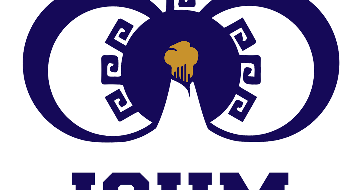 Volcán-IGUM: Oportunidad de Tesis, residencias y servicio social: 2018