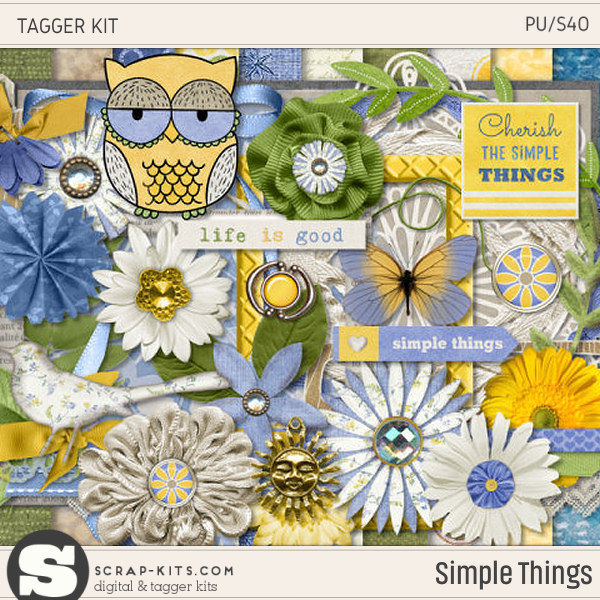Simple Things Tagger Kit
