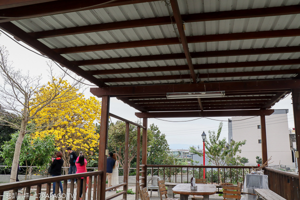 彰化芬園|2019芬園黃花風鈴木大道|全台最長黃金大道|寶藏寺旁 彰化芬園|2019芬園黃花風鈴木大道|全台最長黃金大道|寶藏寺旁