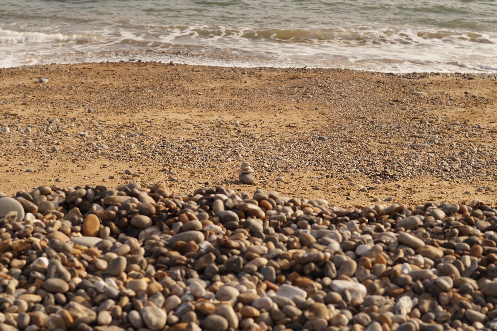 Fossil Hunting on the Jurassic Coast Sophie in the Sticks