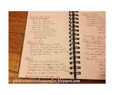 Handwritten journal entry with to-do lists for March, April, May and June.