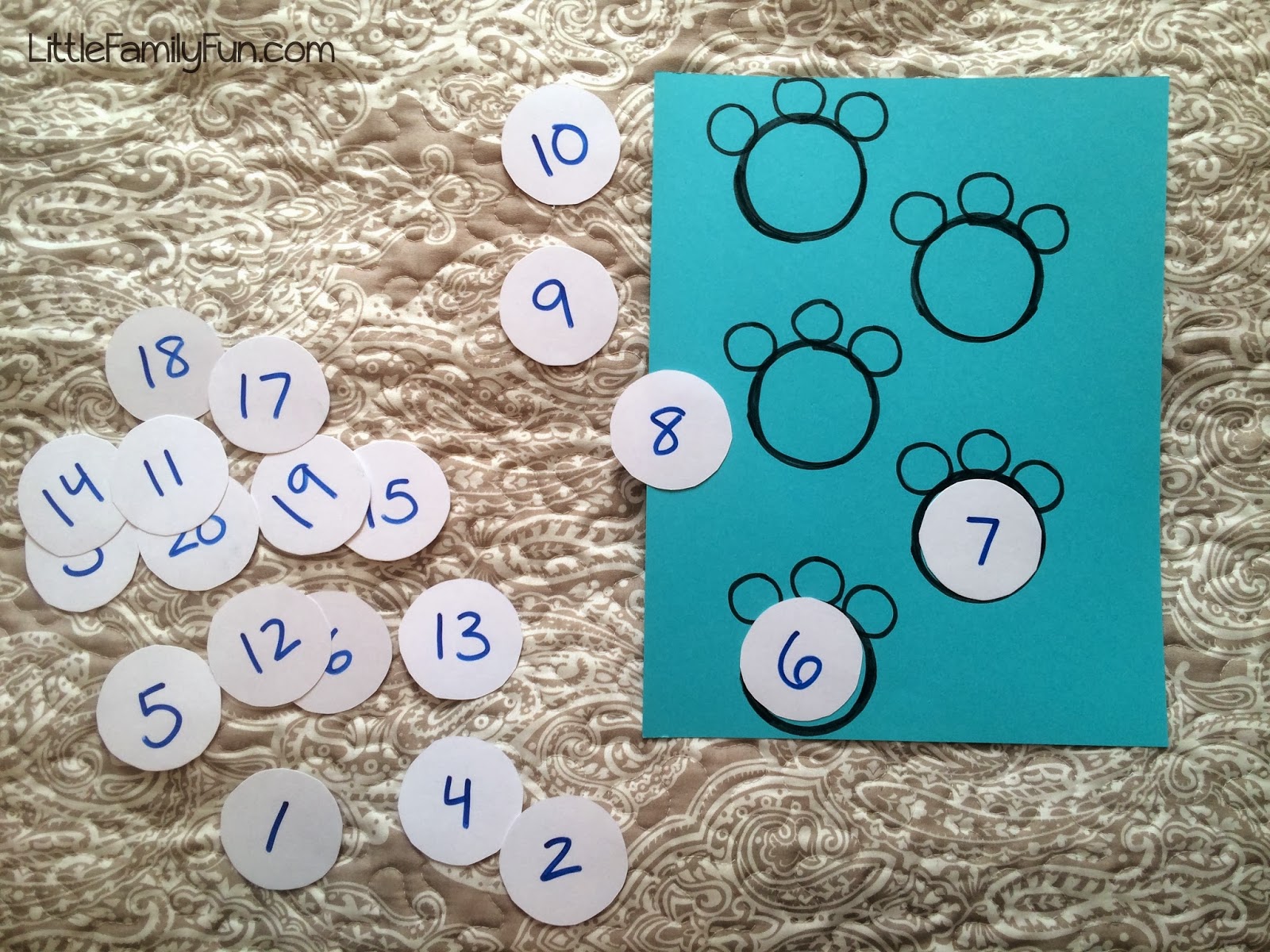 Polar Bear Paw Counting