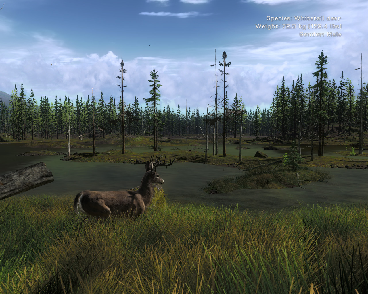 The Hunter Free Download