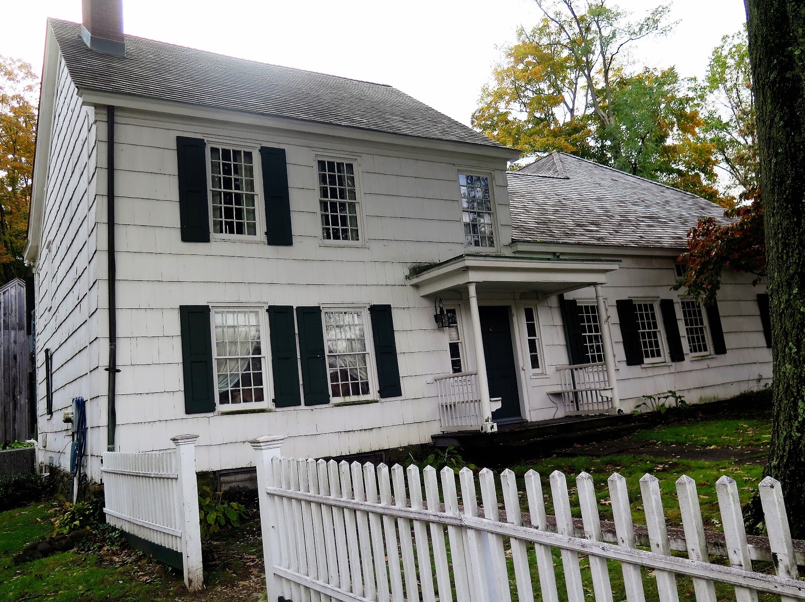 Dogs Luv Us and We Luv Them October 2018