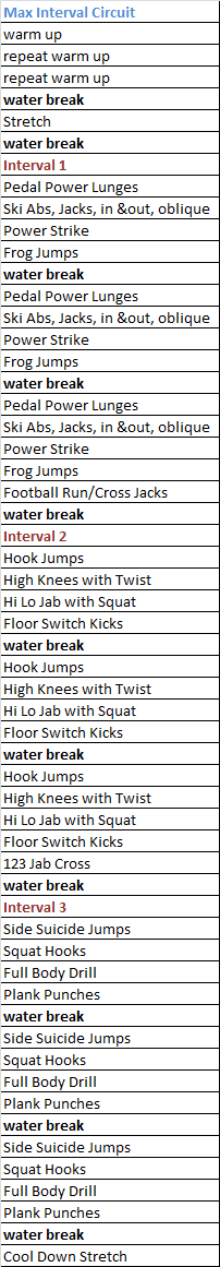 Insanity Max Interval Circuit - Review