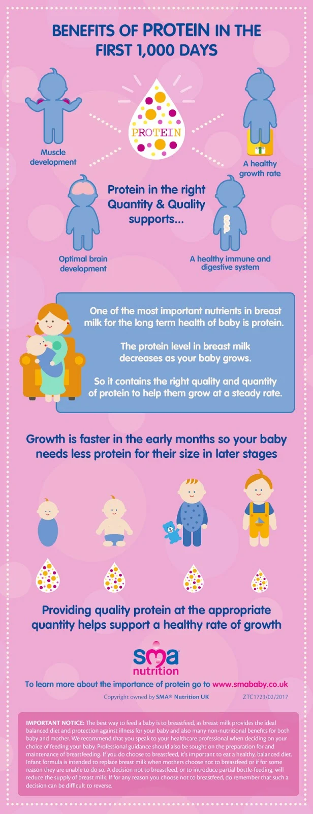 Infographic on the importance of protein in the first 1000 days from SMA Nutrition