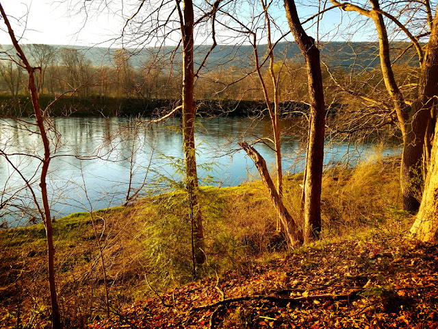 First River View on the McDade Trail