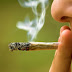 Cette étude indique que le cannabis serait 114 fois moins mortelle que l'alcool...- Page 3