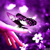 [Download 36+] Butterfly Wallpaper Beautiful Flowers Images