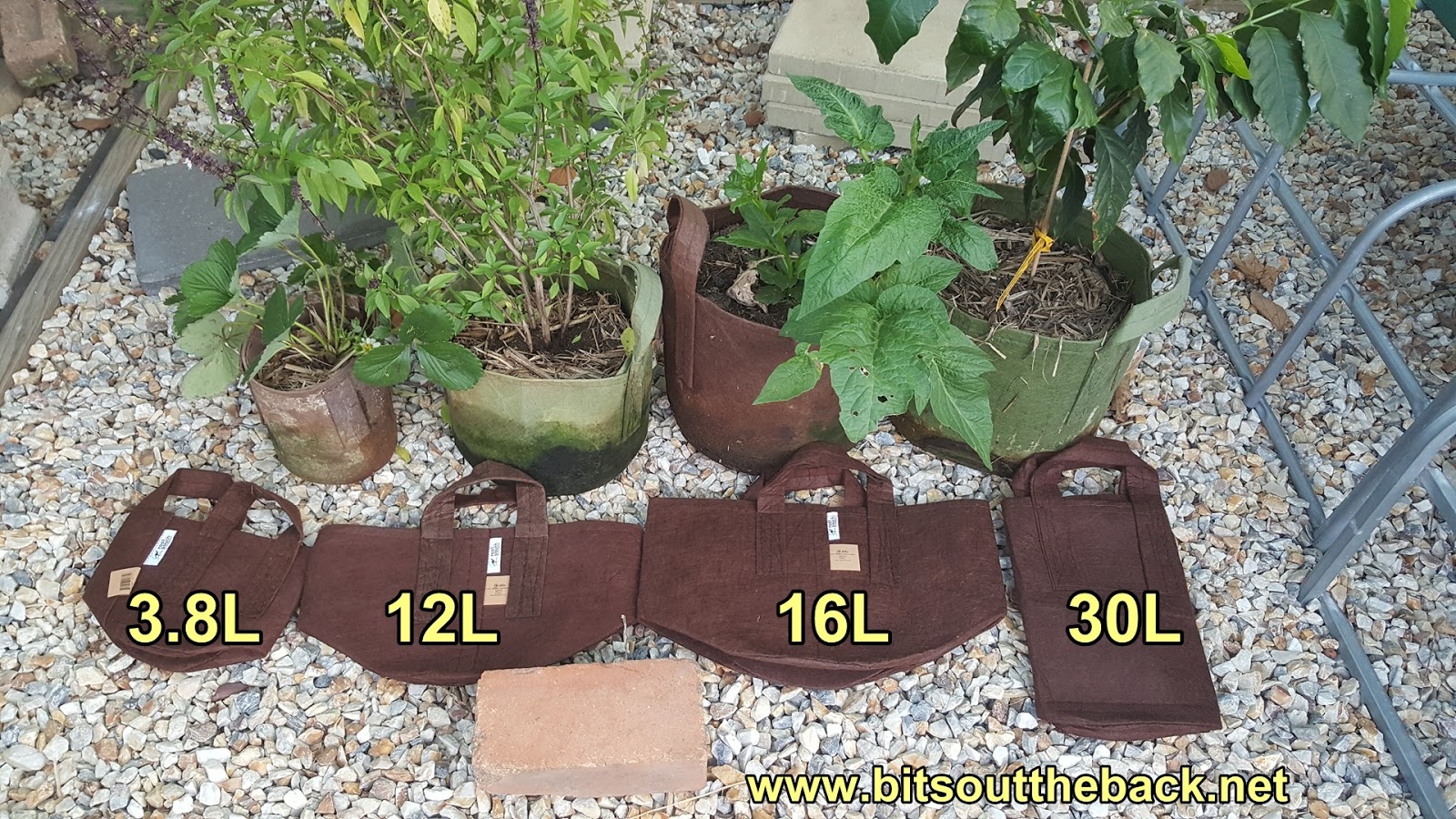 Bits out the Back Root Pouch Information & Pricing