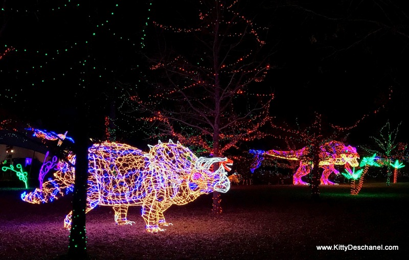 River of Lights Albuquerque