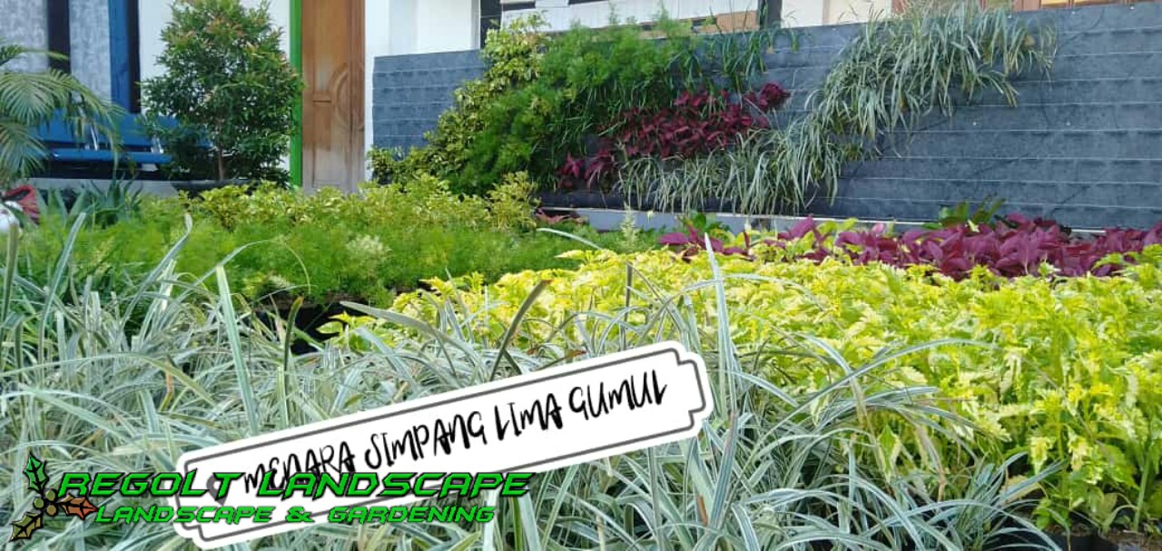 Regolt Landscape Jasa Taman Profesional Contoh Gambar