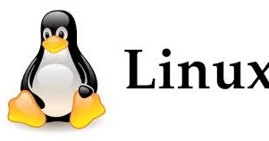 LINUX TEXT EDITOR.