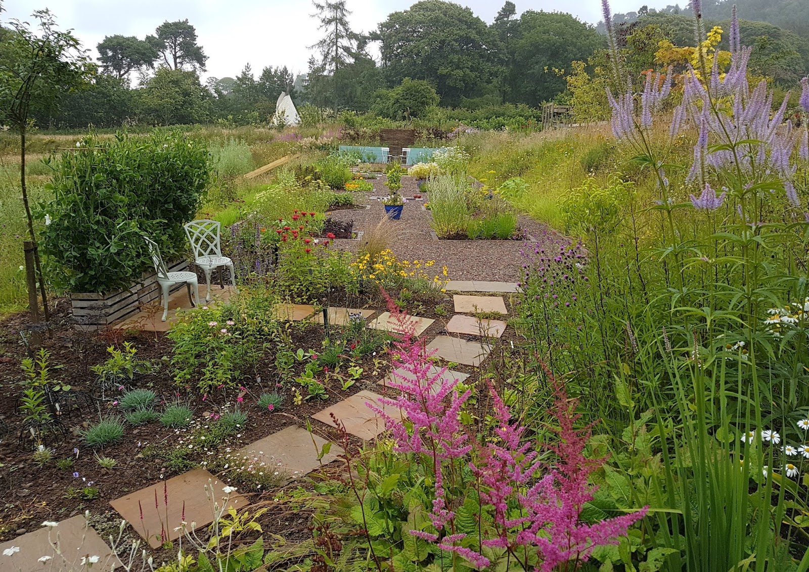 Quirky Bird Gardener Blog Creating the Herb Garden and Scented Garden
