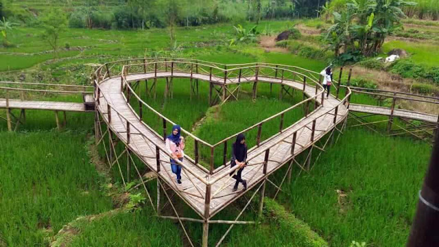 Cafe Tepi Sawah Pujon Kidul Cafe Tepi Sawah Pujon Kidul