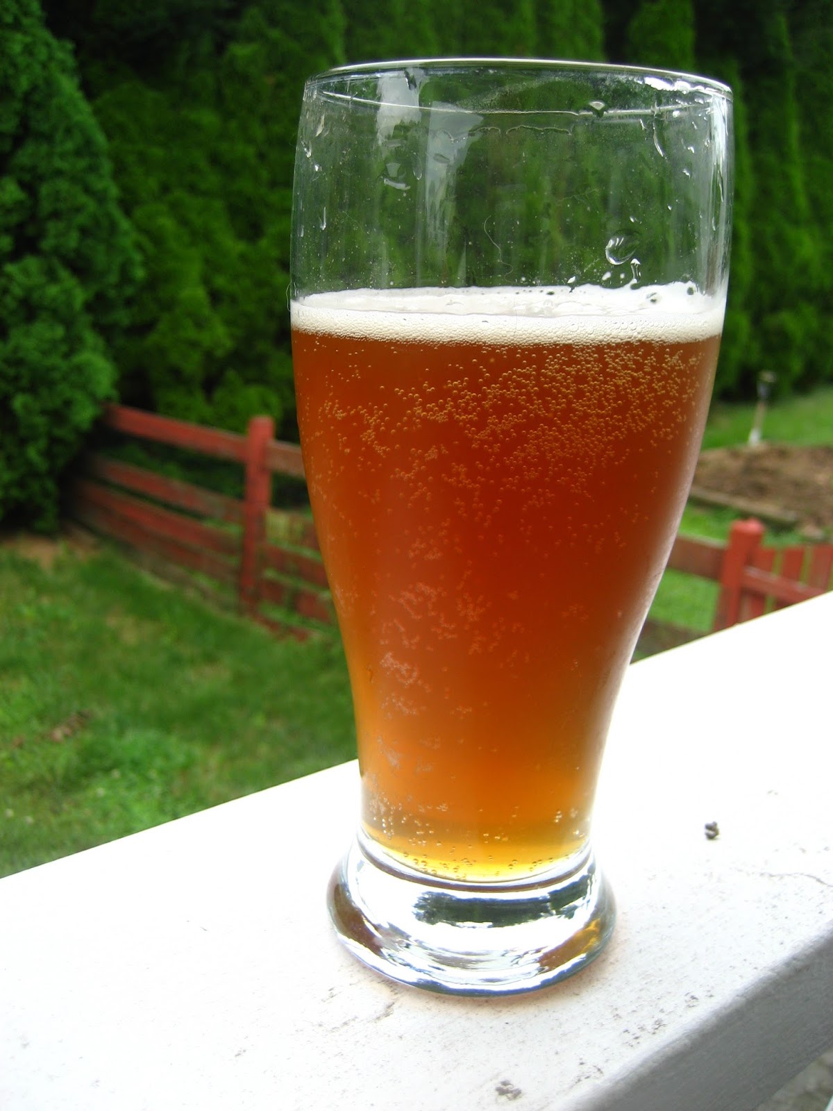 Andrew's Homebrew Log Single Hop Pale Ale (Mosaic) Tasting Notes