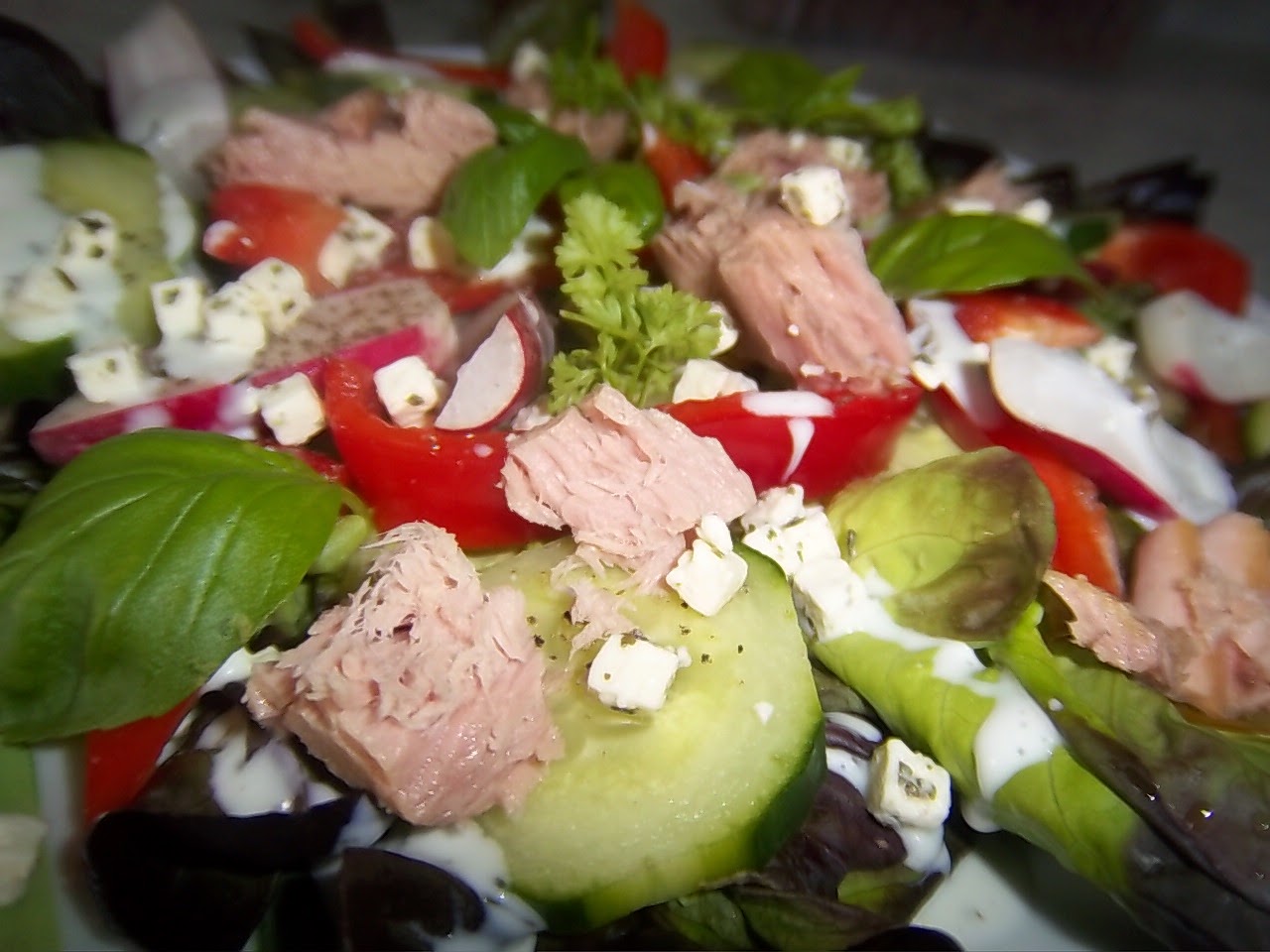 Bunter Salat mit Thunfisch und Joghurt Dressing
