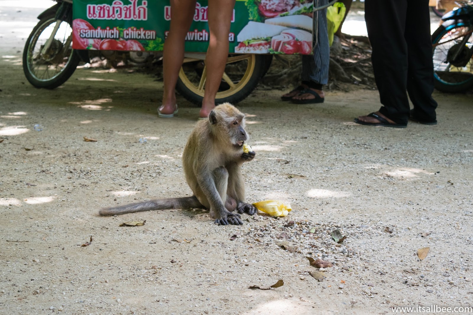 Money in Phuket | James Bond Island | Thailand Phang Nga Bay Tour | 9 Experiences You Need To Have In Phang Nga Bay