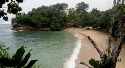 Lokasi Pantai Ngliyep berada di selatan Kota Malang Pantai Ngliyep, Malang