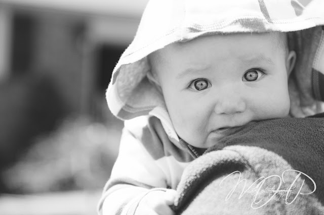 © MHaas Photography, 2 year old, 6 months, baby, boy, brother, brothers, child, child photographer, family, family home, Family Photos Louisville, family portraits louisville, grandparents, home decor, toddler, lifestyle