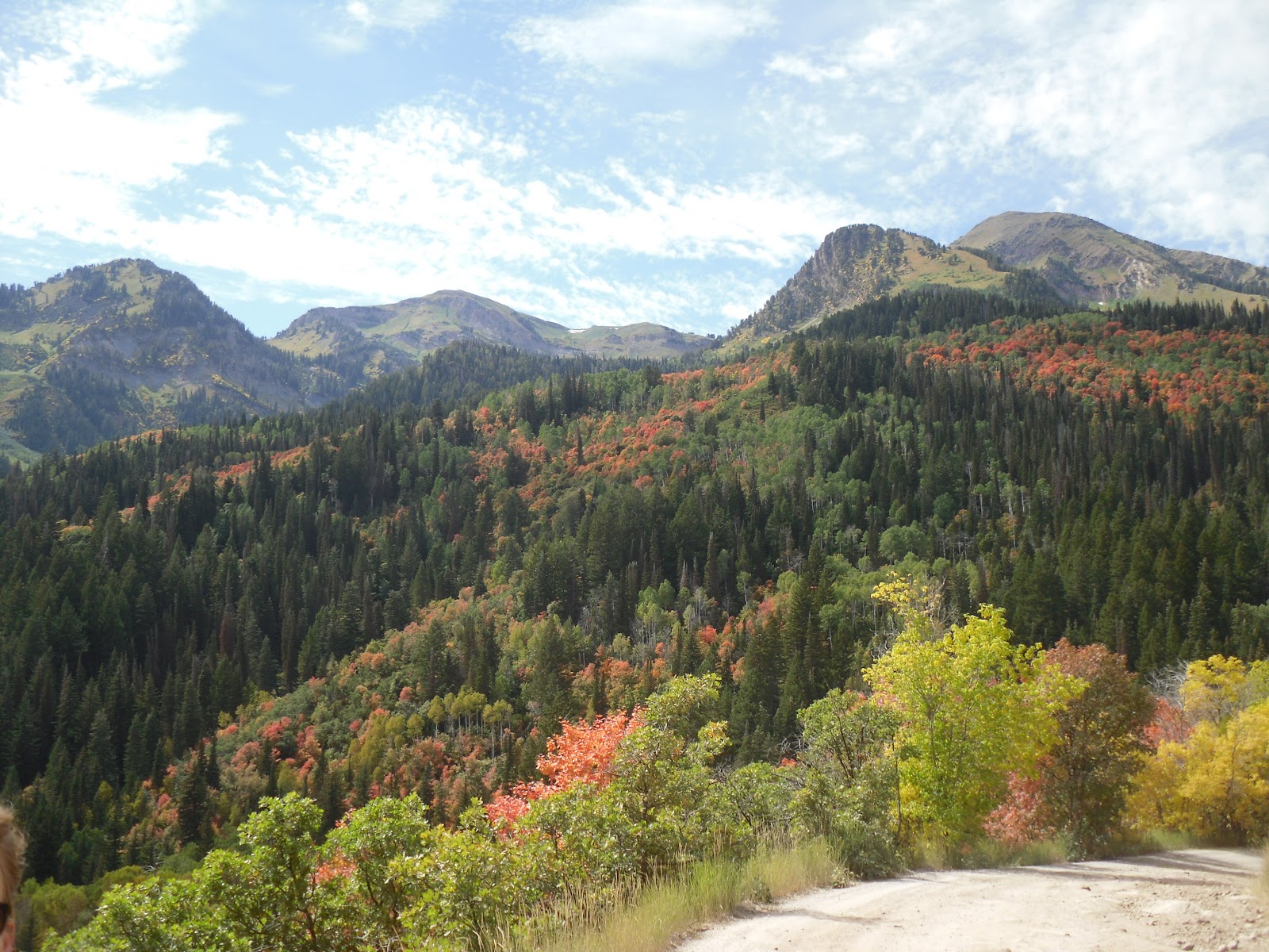 Scott's Twisted Travels American Fork Canyon Silver Lake